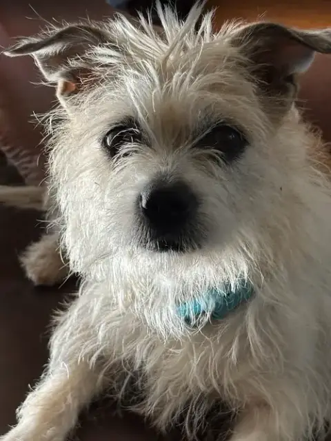 Bella photo 3