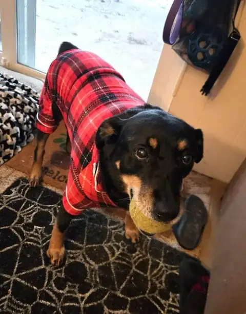 Zz Zeus photo 3