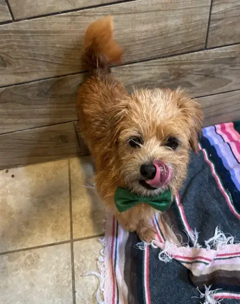 Milo