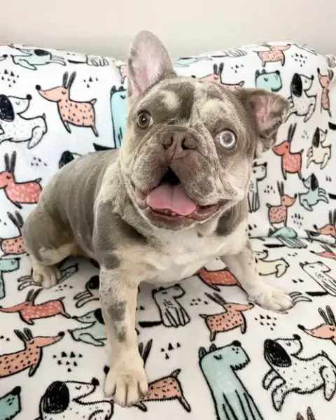 Mabel photo 4