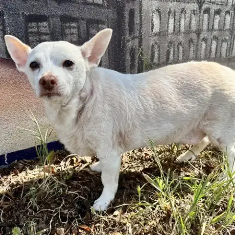 Jetson photo 2