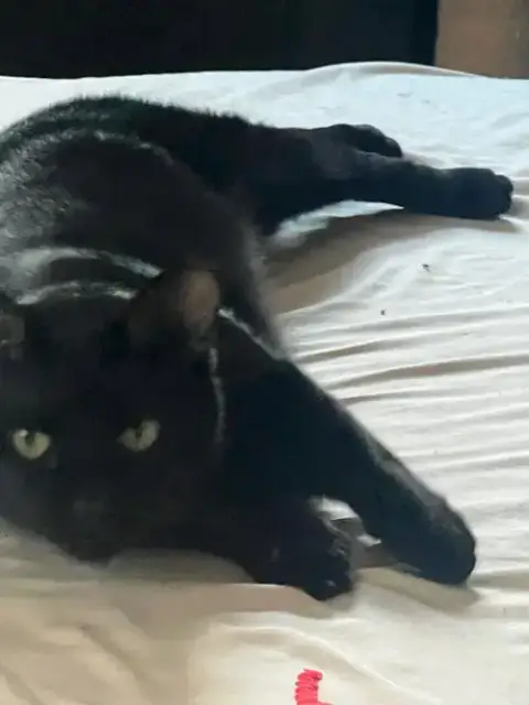 Pablo photo 2