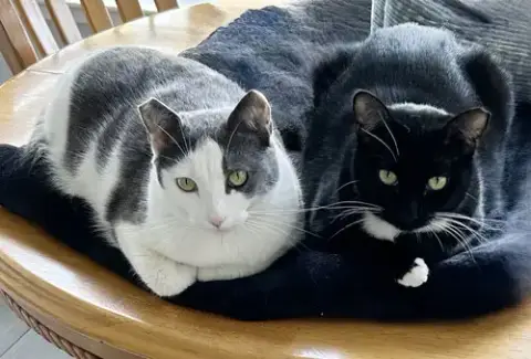 Luna And Xena photo 2