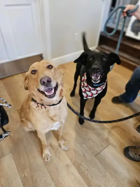 Beckett & Berkley