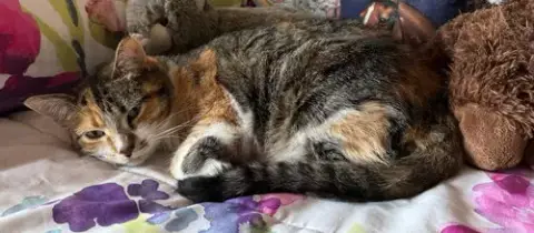Matilda photo 2