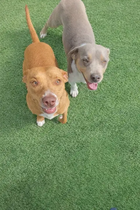 Maya photo 4