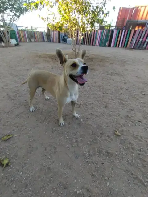 Luna photo 2