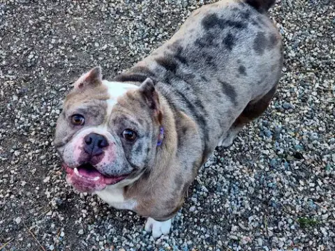 Macy Mae