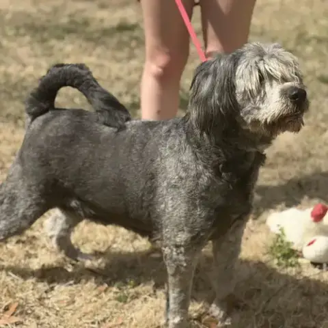Stella photo 2