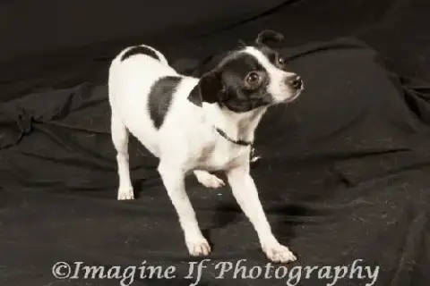 Colby photo 1