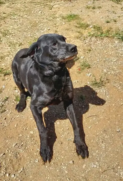 Maya photo 3