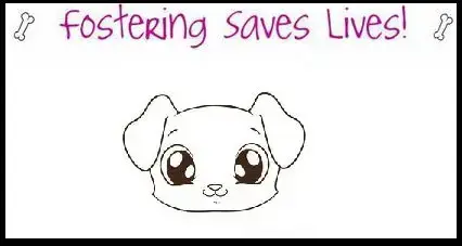 Fosters Needed!! photo 2