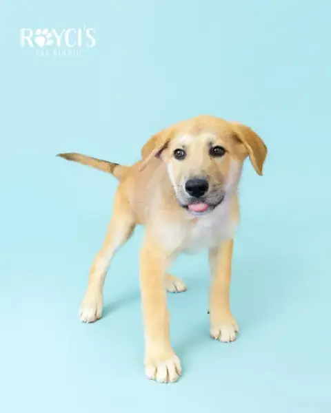 Ernie