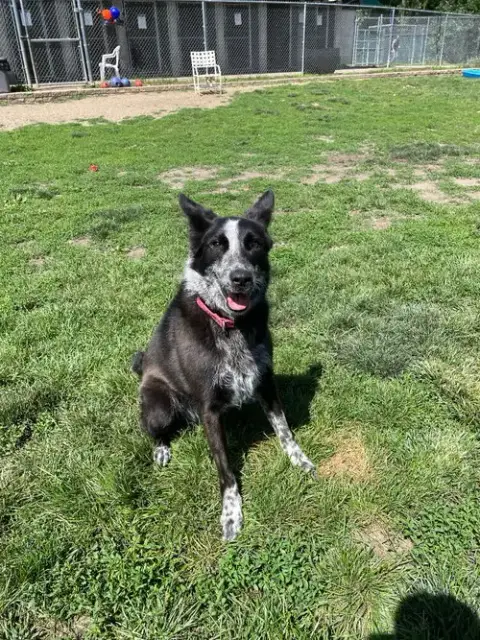 Abby