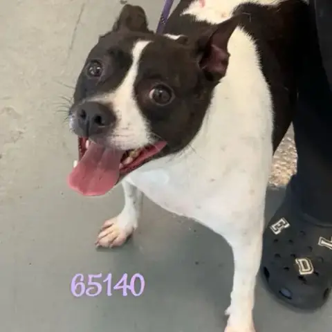 Lena