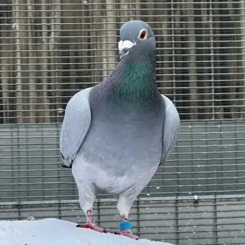 Jeffrey photo 4