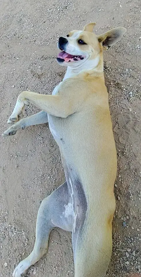 Luna photo 4