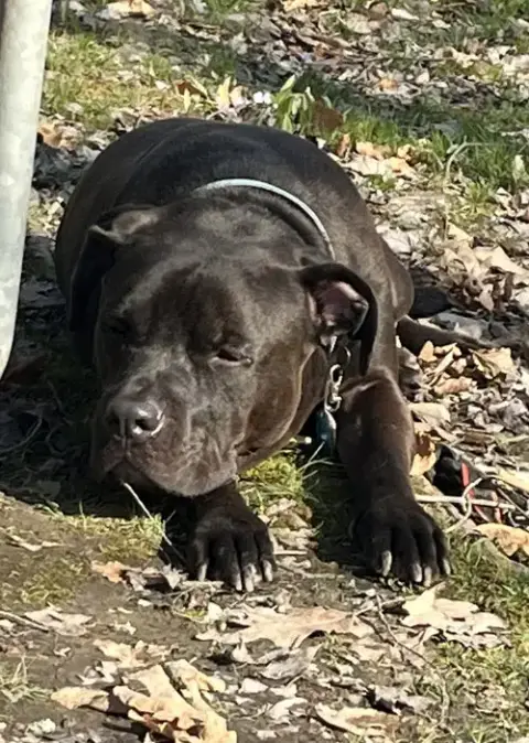 Gus-Pending photo 3
