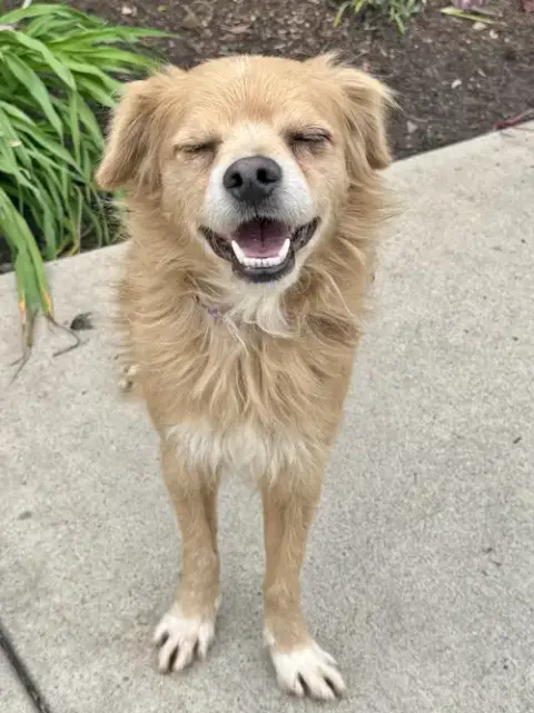 Buddy photo 5