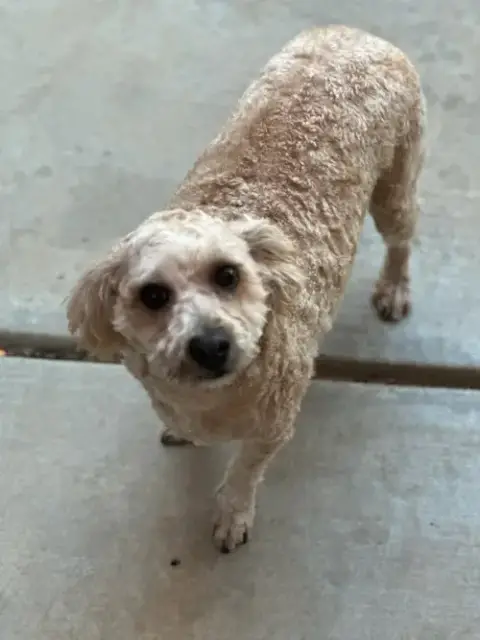 Butters photo 2