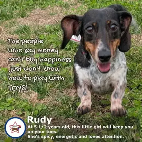 Rudy In Ga photo 2