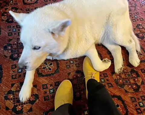 Koda photo 5
