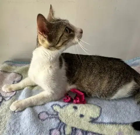 Meredith photo 3
