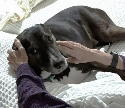 Rosie photo 5