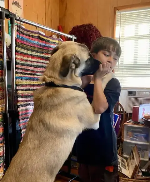 Zz Kylo photo 4