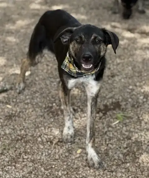Doug photo 4