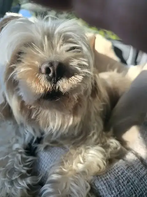 Marilyn