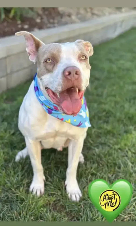 Gabby