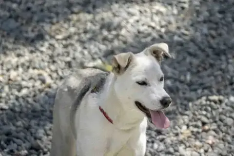 Sunny photo 3