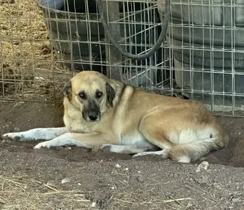 Sasha photo 3
