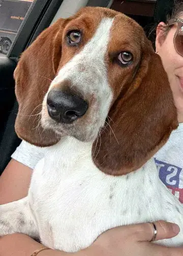 Lucy Aka Lula