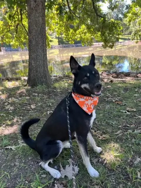 Tucker *Cl*