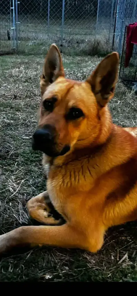 Bodie photo 1