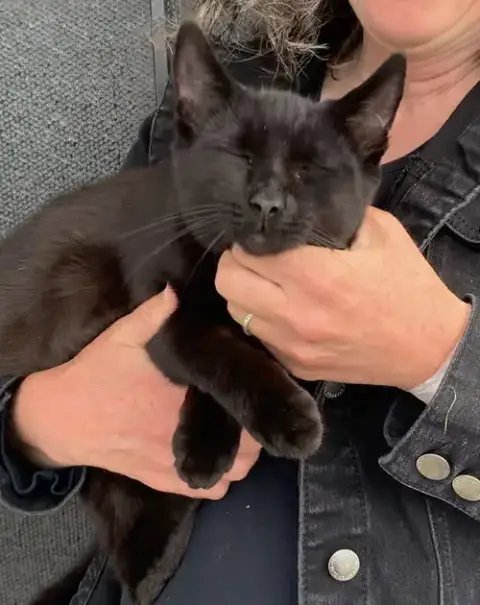 Panther & Pepper photo 4