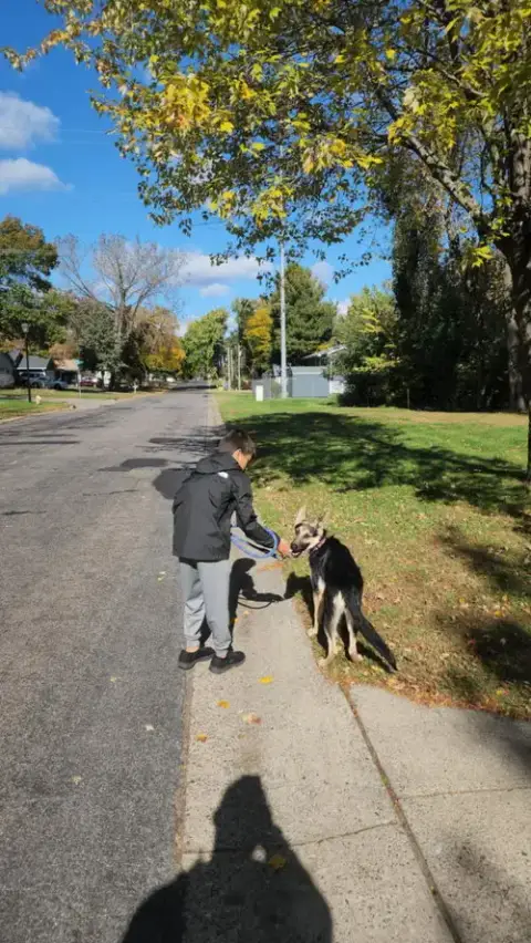 Koda photo 4