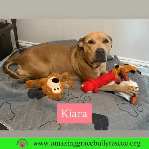 Kiara photo 2