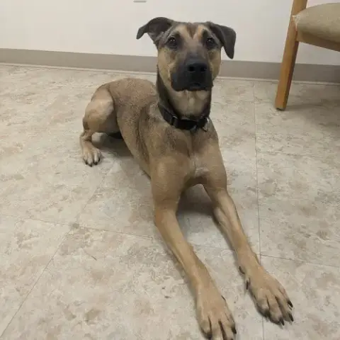 Sade photo 5