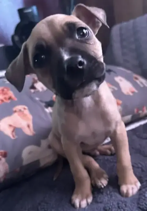 Marley
