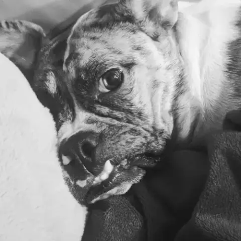 Mabel photo 5
