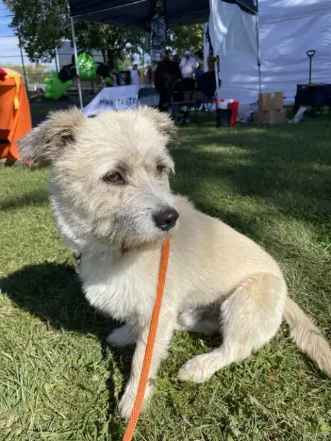 Herbert photo 5