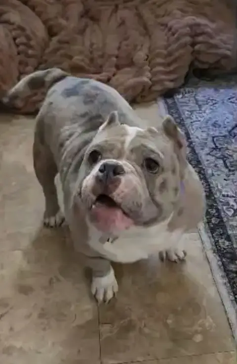 Macy Mae photo 2