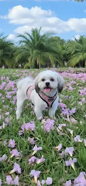 Lola Kay photo 4