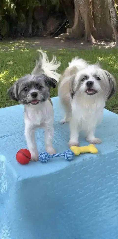 Cassie & Cindy photo 4