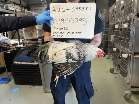 A1903795