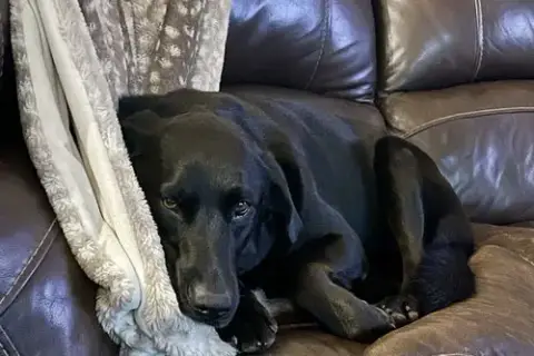 Jake photo 5
