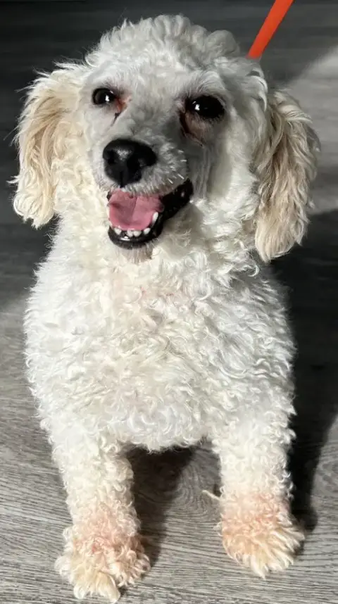 Pearl